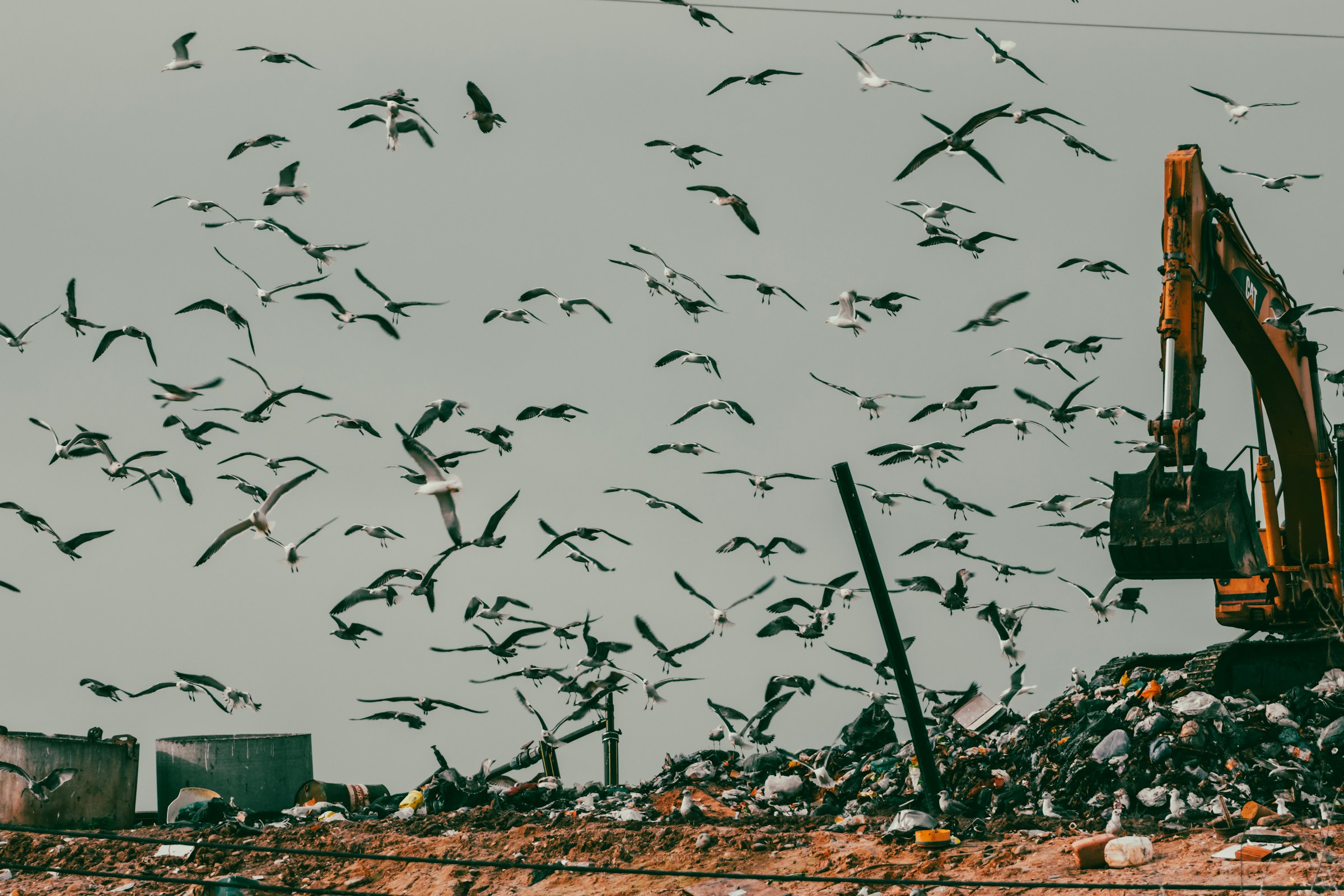 Landfill Gas